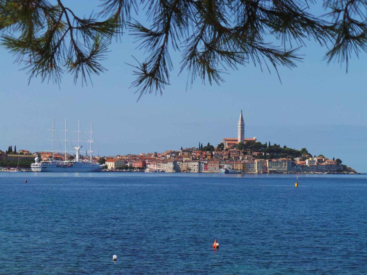 Apartment In Rovinj/Istrien 11735 Exterior foto